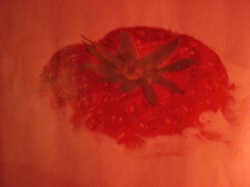 medium_strawberry-stain.3.jpg