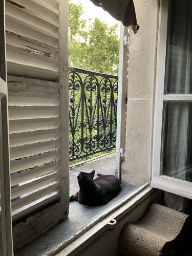 IMG_3592.jpeg