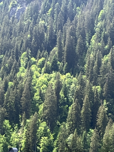 IMG_8259.jpeg