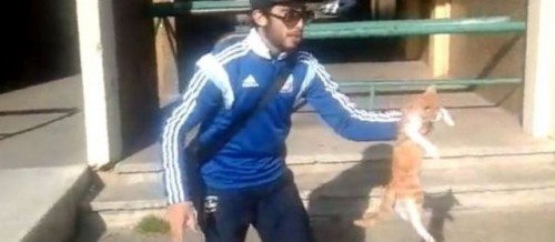 lanceur de chat marseille