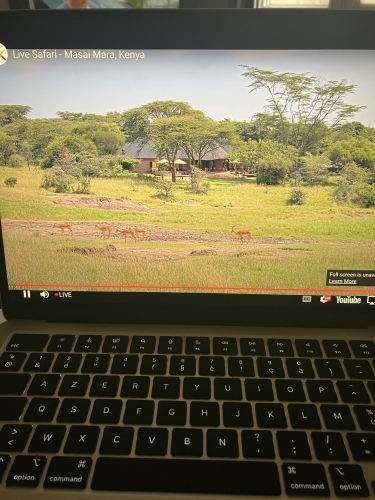 safari à domicile, misanthrope, animaux du monde